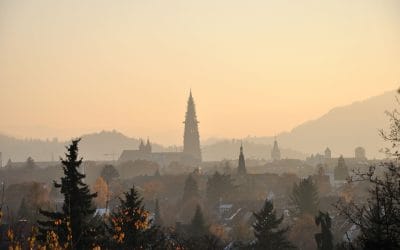 TCM-Ausbildung in Freiburg – Genießen Sie eine der schönsten Städte Süddeutschlands