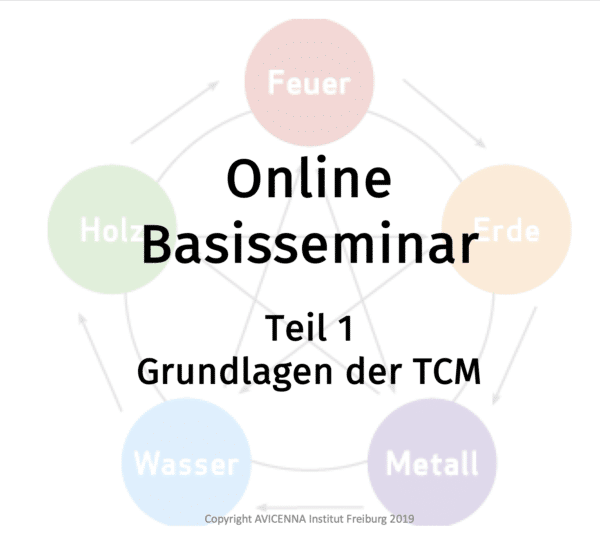 Grundlagen der TCM - Online-Basisseminar
