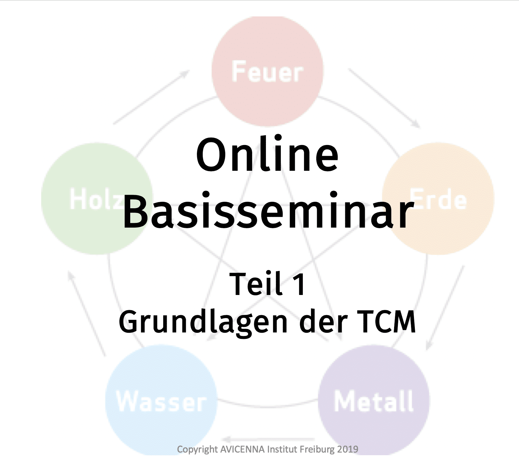 Grundlagen der TCM - Online-Basisseminar