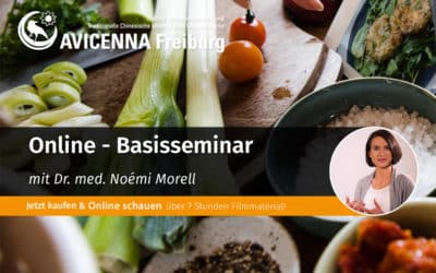 Online Basisseminar