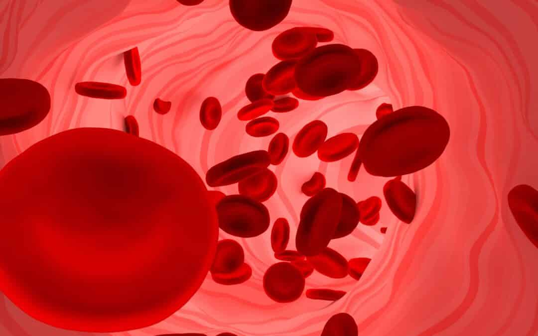 Blut – ein ganz besonderer Saft