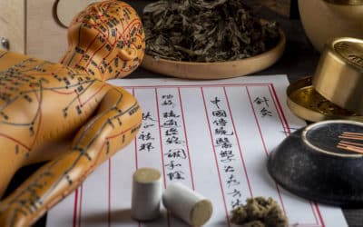 Traditionelle Chinesische Medizin (TCM): Alternative Therapie zur Schulmedizin oder Hokuspokus?
