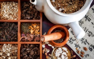 Kräuter in der Traditionellen Chinesischen Medizin (TCM)