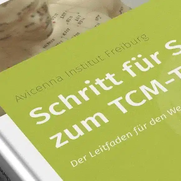 eBook Schritt für Schritt zum TCM-Therapeuten